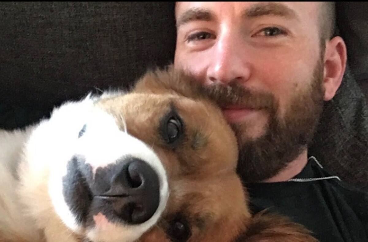 Famosos y sus hijos perrunos, te harán derretirte de ternura