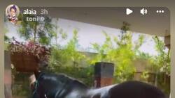 Alaïa Costa muestra un lado desconocido independiente de sus padres