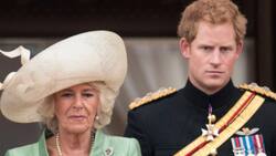 Camila de Cornualles habría hecho el comentario racista que Meghan denunció ante Oprah Winfrey