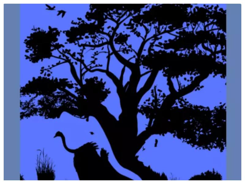 La figura contiene varios animales. Observa con detención y evalúa qué demuestra lo primero que viste.