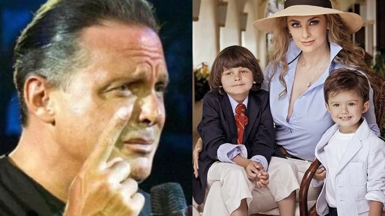 Luis Miguel, Aracely Arámbula y sus hijos