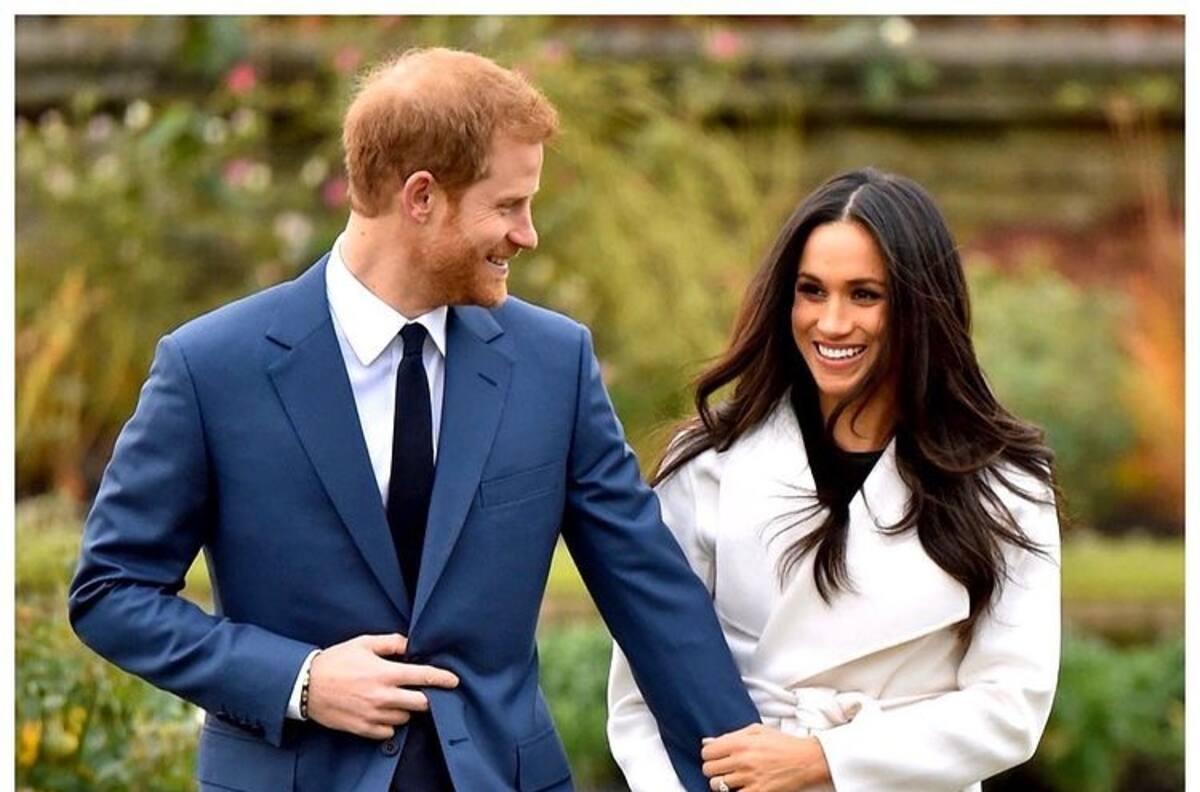 ¡Un perro, el nuevo jefe del príncipe Harry y Meghan! Se asocian a firma de inversiones hippie