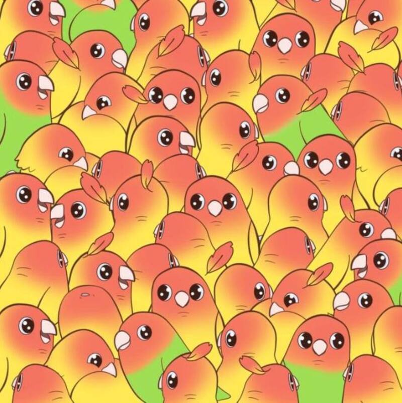 ¿Serás capaz de encontrar el mango en la imagen en menos de 5 segundos.