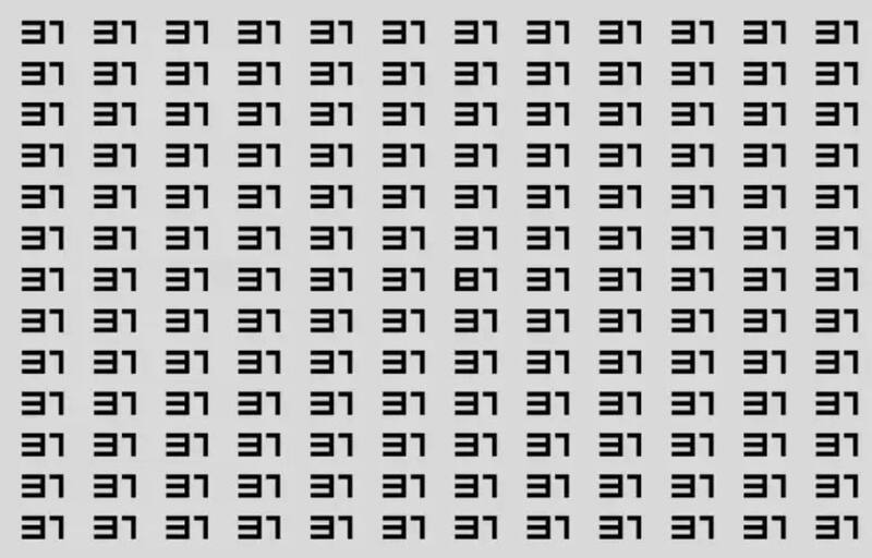 ¿Puedes ver el numero 81 entre los numeros 31?