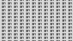 TEST VISUAL: ¿Puedes detectar el número 81 entre los 31? Pon a prueba tus ojos de águila