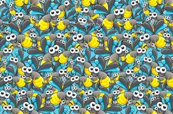 Test visual: Encuentra a la hormiga escondida en menos de 13 segundos