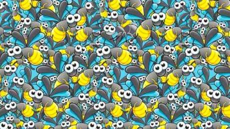 Test visual: Encuentra a la hormiga escondida en menos de 13 segundos