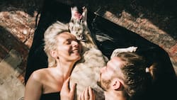 La prueba perfecta para averiguar si le gustas o no a alguien