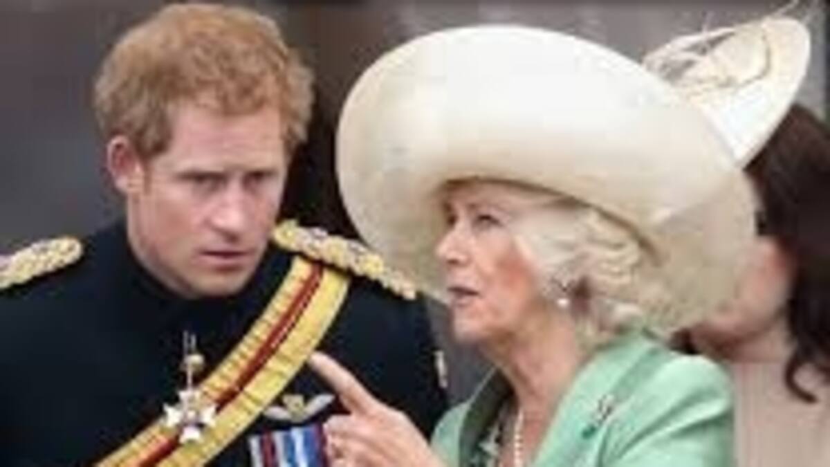 Qué opinan el príncipe Harry y el príncipe William de que Camila sea reina, según expertos
