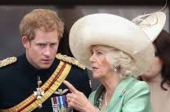 Qué opinan el príncipe Harry y el príncipe William de que Camila sea reina, según expertos