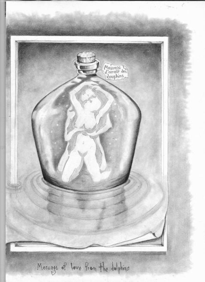 Reto visuaal: Encuentra a los delfines dentro de la botella - Créditos: Internet