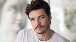 Pedro Pascal gana una millonaria suma por cada capítulo de "The Last of Us"
