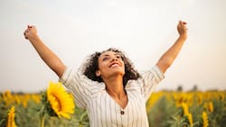 3 signos del zodíaco quieren el éxito más que el amor el 24 de julio, durante el sol en Leo