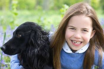 Los gestos de Charlotte y Louis que encantan a los británicos