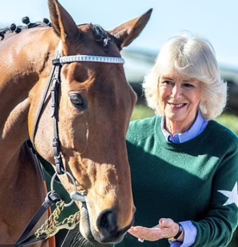 La reina Camila sorprende al mundo al revelar por qué dejó de montar caballos La reina tuvo que dejar de practicar equitación - Créditos: Instagram