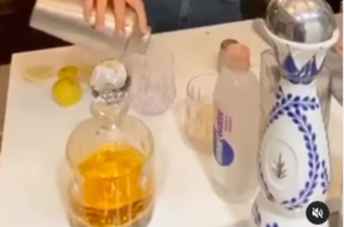 Gal Gadot enamoró a sus fans con divertido baile mientras se convierte en bartender