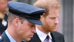 El último desaire del príncipe William a su hermano Harry