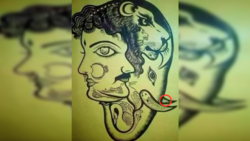 Reto viral: Encuentra al conejo escondido