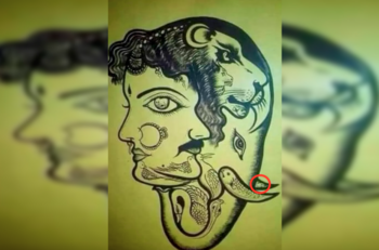 Reto viral: Encuentra al conejo escondido