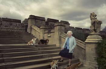 Entre los escándalos y el Jubileo de Platino, la Reina Isabel II inicia un emprendimiento con perros