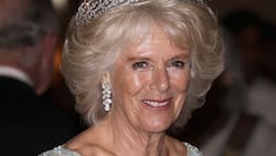 Las veces que la reina Camila mandó mensajes subliminales con su vestuario