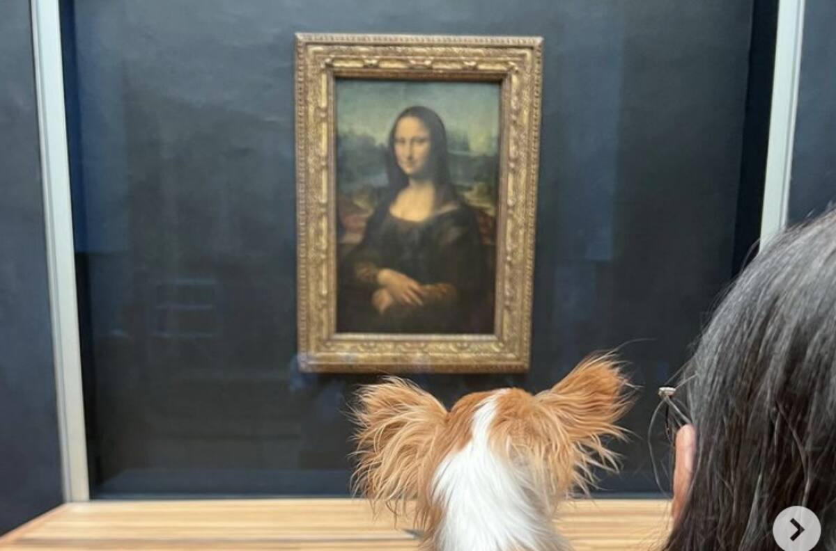 Demi Moore rompe las reglas del Museo de Louvre y podría meterse en problemas