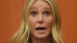 Gwyneth Paltrow y la frase que incendió las redes en el juicio donde la están demandando