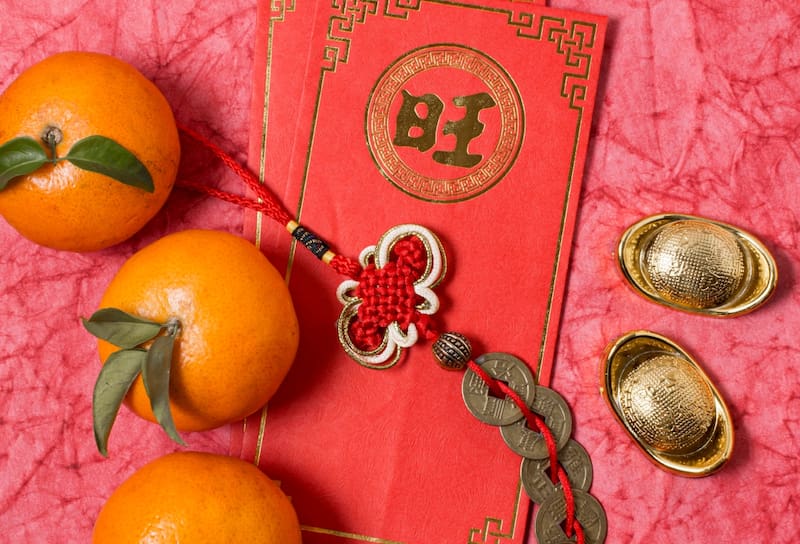 Estos sognos zodiacales descubrirán que son la mejor compañía para si mismos.