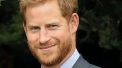 Príncipe Harry dará un discurso ante las Naciones Unidas