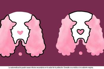 Gatos o perro, lo primero que veas describirá cómo eres en las relaciones