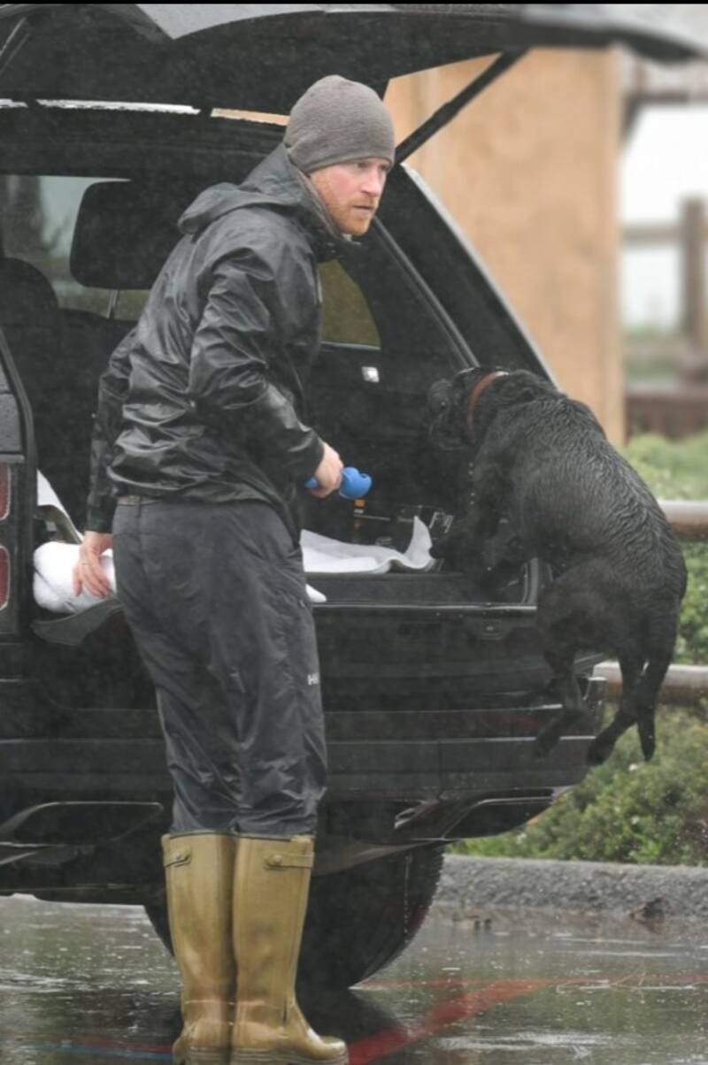 - Créditos: The Sun