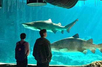 Este k-drama que retrata el síndrome de Asperger es el más conmovedor de Netflix