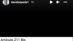 David Zepeda se defiende de las conversaciones filtradas que tuvo con fans