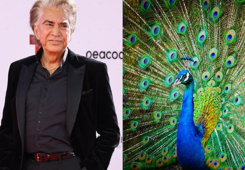 Este es el significado de una de las canciones más populares de 'El Puma' Rodríguez.