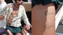 Harry Styles y el misterio de su nuevo tatuaje: ¿Un homenaje a Olivia Wilde?