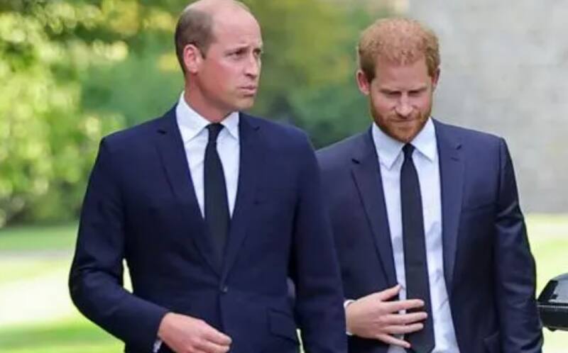 El proyecto de Harry involucra directamente a su hermano William.