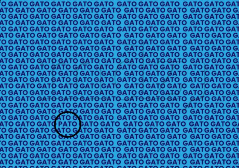 Reto: ¿Crees poder encontrar la palabra “pato” en esta imagen en menos de 15 segundos? - Créditos: Instagram