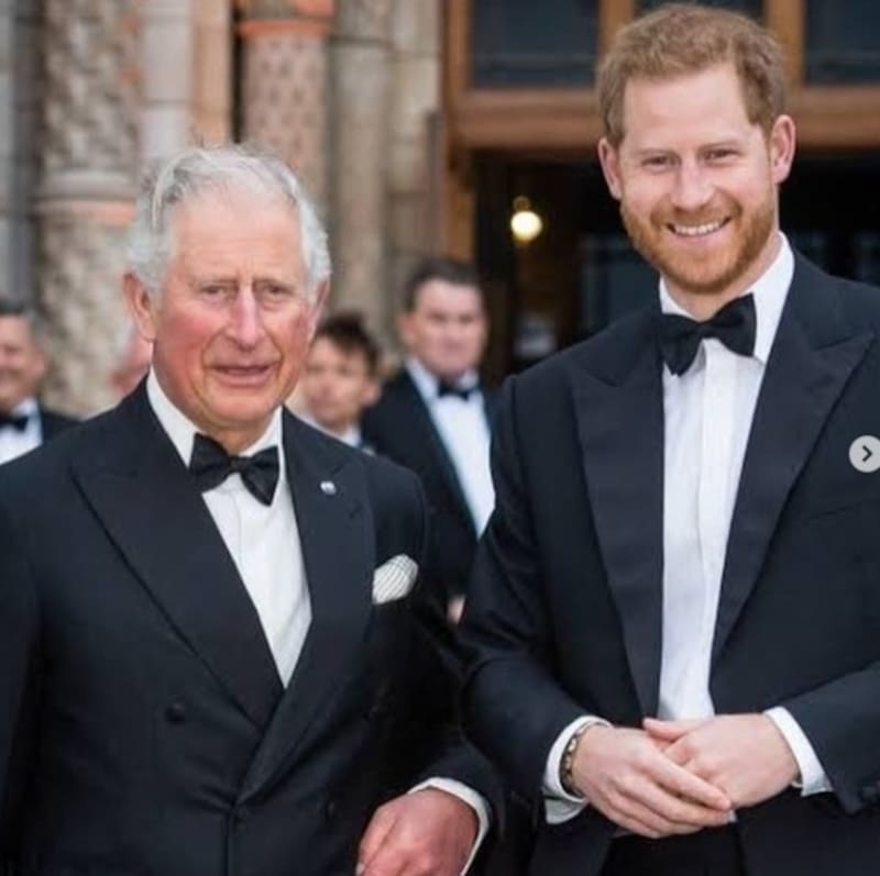 El príncipe Carlos inquieto por el libro que lanzará su hijo - Créditos: Instagram