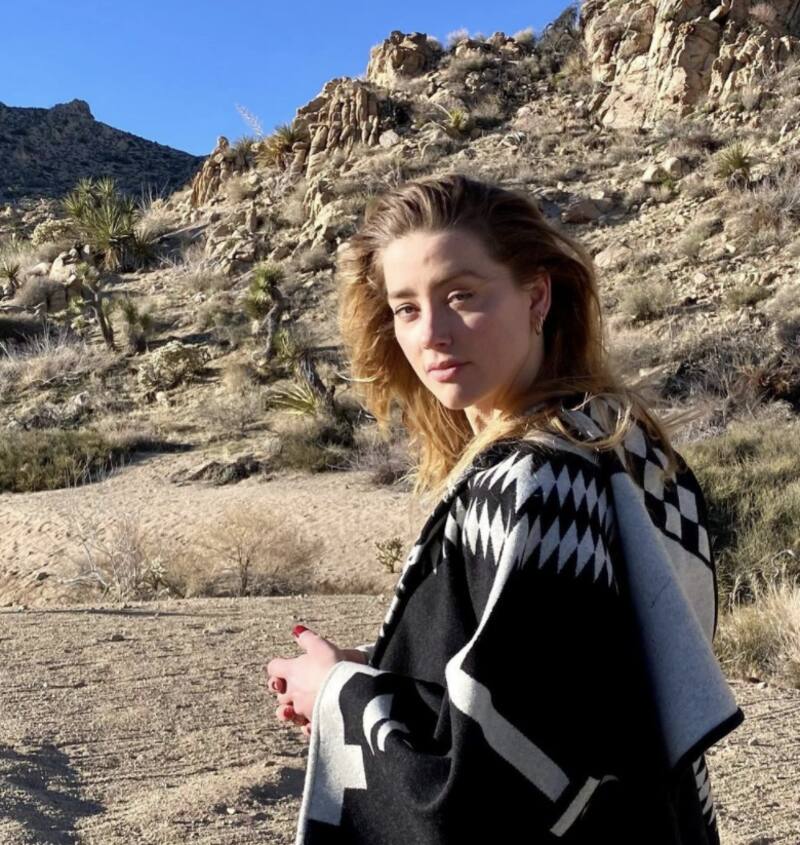 Amber Heard solicitó a un Tribunal en Virginia que se anule el caso que perdió contra su ex esposo Johnny Depp. - Créditos: Instagram
