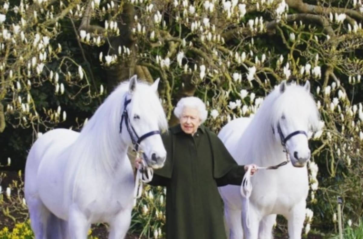 Estos son los nombres y el significado de los caballos de la reina Isabel II