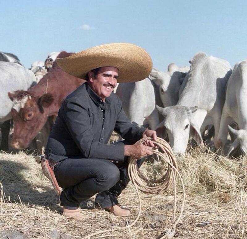 Vicente Fernández tenía un negocio millonario - Créditos: Instagram Vicente Fernández