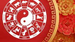 Los 5 signos del zodiaco chino más afortunados de esta semana