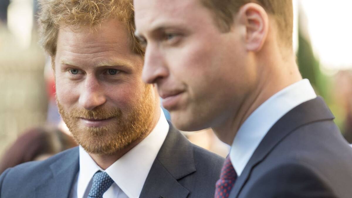 Harry aporta detalles del distanciamiento con su hermano William