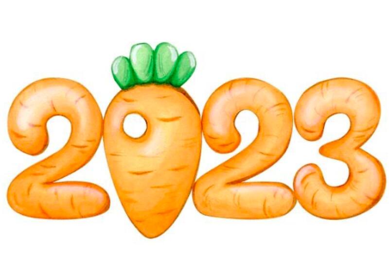 Según el calendario chino, el conejo es el animal del próximo año - Créditos: Instagram