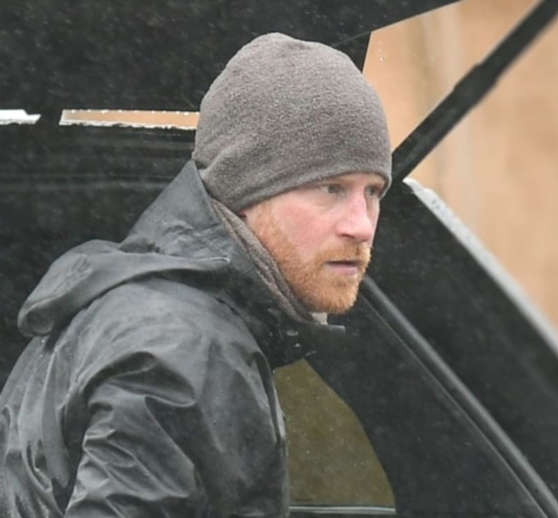 Harry salió de paseo con su labradora Pula. - Créditos: The Sun