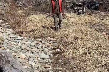 Bruce Willis disfruta de una caminata con su familia tras el diagnóstico de afasia