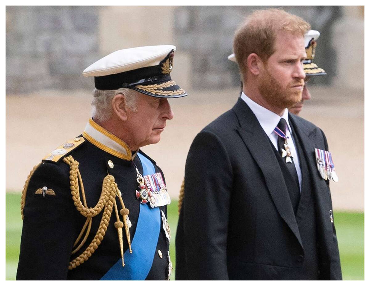 El Rey Carlos III y su hijo, el príncipe Harry.