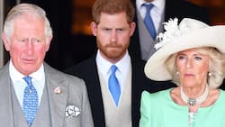 A la reina Camila no le convendría que Harry y Meghan se divorciaran