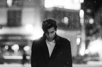 Shawn Mendes tomó una difícil decisión por la seguridad de sus fans