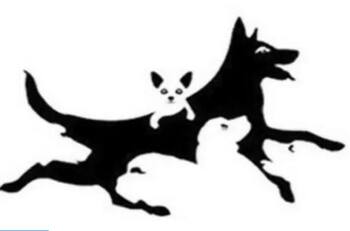 Test de personalidad: El número de perros que veas determinará tu edad mental